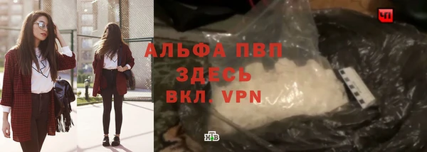 apvp Алексин