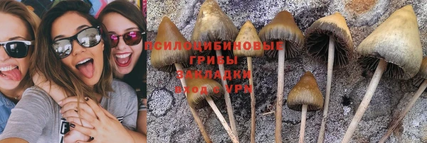 apvp Алексин