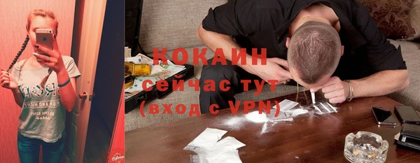 apvp Алексин